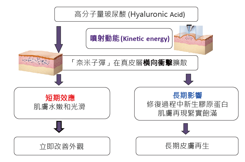JVR氣動脈衝 JVR氣動脈衝